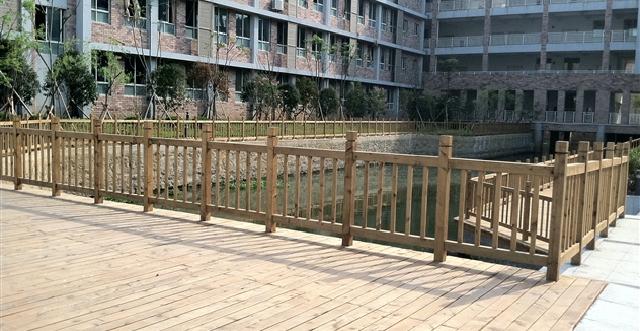 鐵杉－寧波市象山縣濱海中學